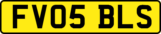 FV05BLS