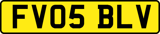 FV05BLV
