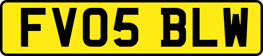 FV05BLW