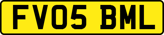 FV05BML