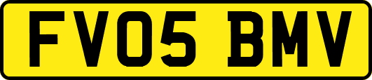 FV05BMV