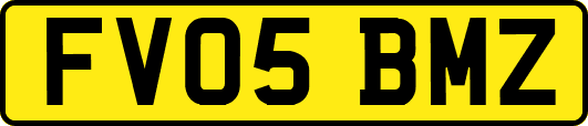 FV05BMZ
