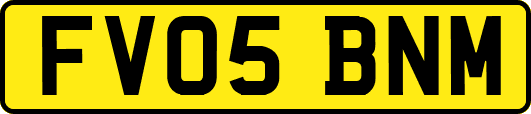 FV05BNM
