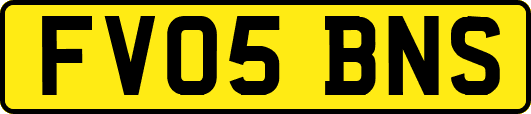 FV05BNS