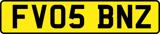FV05BNZ