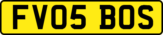 FV05BOS