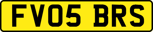 FV05BRS