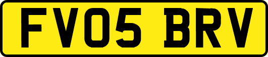 FV05BRV