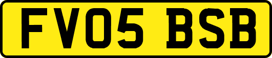 FV05BSB