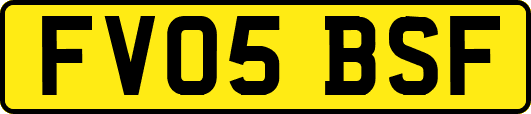 FV05BSF