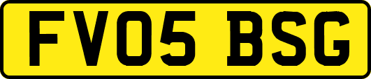 FV05BSG