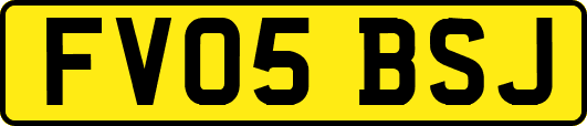 FV05BSJ