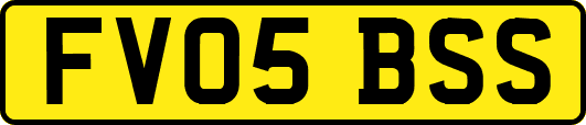 FV05BSS