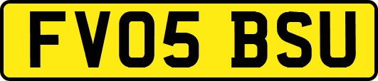 FV05BSU
