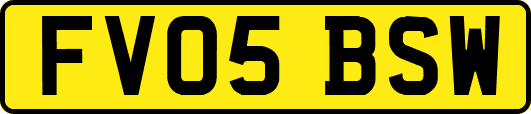 FV05BSW