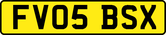 FV05BSX