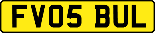 FV05BUL