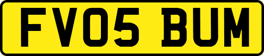 FV05BUM