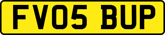 FV05BUP