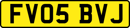 FV05BVJ