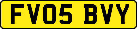 FV05BVY