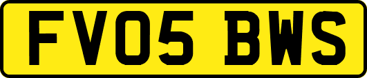 FV05BWS