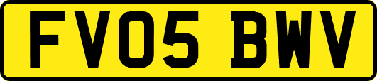 FV05BWV