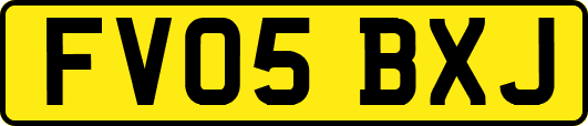 FV05BXJ