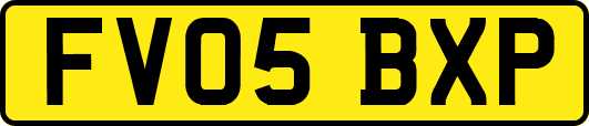 FV05BXP