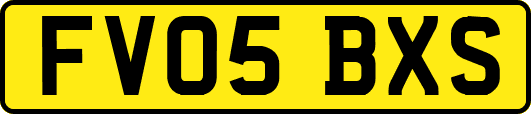 FV05BXS