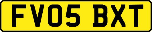 FV05BXT