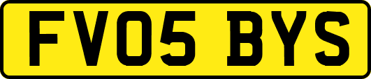 FV05BYS