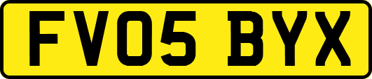 FV05BYX