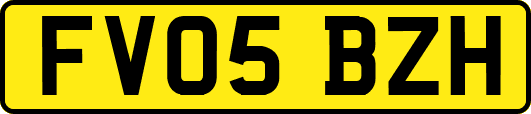 FV05BZH