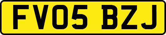 FV05BZJ