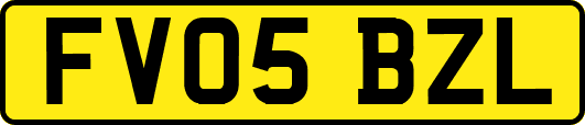 FV05BZL