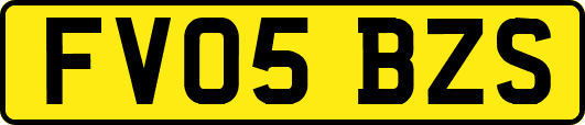 FV05BZS