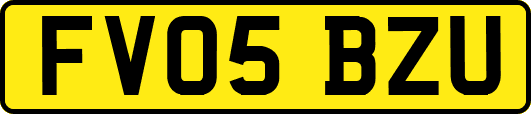 FV05BZU
