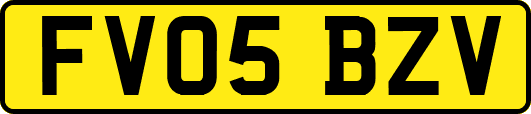 FV05BZV