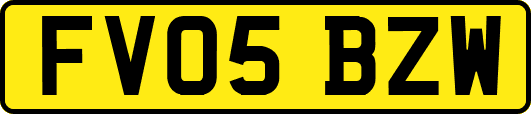 FV05BZW