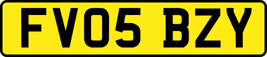 FV05BZY
