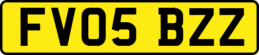 FV05BZZ