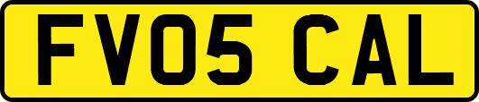 FV05CAL