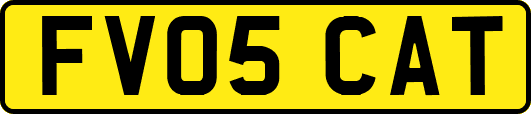 FV05CAT
