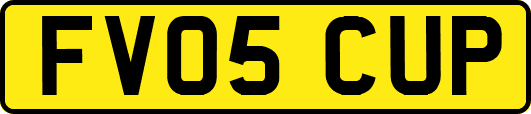 FV05CUP