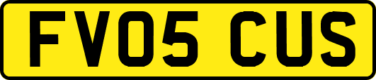 FV05CUS