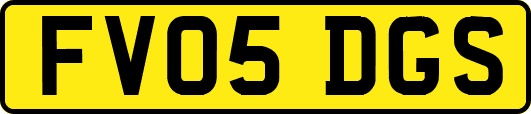FV05DGS