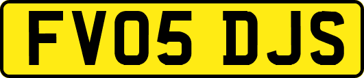 FV05DJS
