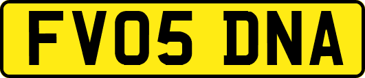 FV05DNA