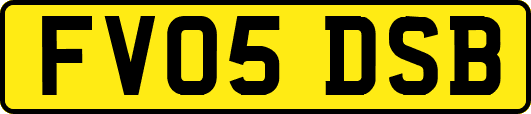 FV05DSB